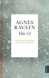 Veke 53 av Agnes Ravatn (Ebok)