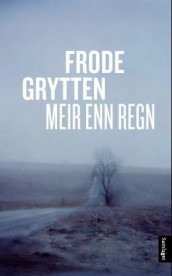 Meir enn regn av Frode Grytten (Ebok)