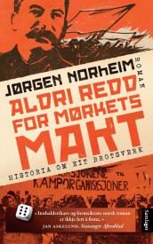 Aldri redd for mørkets makt av Jørgen Norheim (Innbundet)