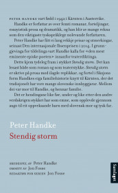 Stendig storm av Peter Handke (Heftet)