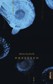 Mørkerom av Mette Karlsvik (Ebok)