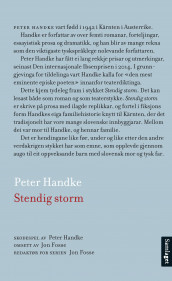 Stendig storm av Peter Handke (Ebok)