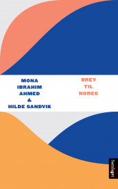 Brev til Noreg av Mona Ibrahim Ahmed og Hilde Sandvik (Heftet)