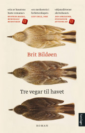 Tre vegar til havet av Brit Bildøen (Ebok)