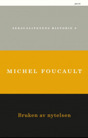 Bruken av nytelsene av Michel Foucault (Heftet)