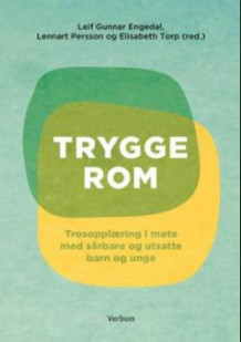 Trygge rom av Leif Gunnar Engedal, B. Lennart Persson og Elisabeth Torp (Ebok)