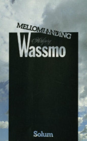 Mellomlanding av Herbjørg Wassmo (Heftet)