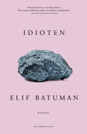 Idioten av Elif Batuman (Ebok)