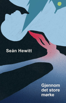 Gjennom det store mørke av Seán Hewitt (Innbundet)