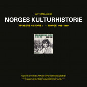 Vinylens historie av Børre Haugstad (Innbundet)