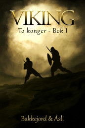 Viking av Tony Bakkejord og Ole Åsli (Ebok)
