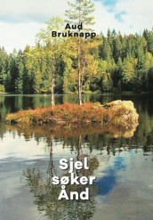 Sjel søker Ånd av Aud Bruknapp (Heftet)