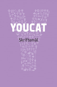 Youcat av Klaus Dick, Rudolf Gehrig, Bernhard Meuser og Andreas Süß (Heftet)