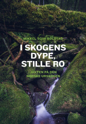 I skogens dype, stille ro av Mikkel Soya Bølstad (Ebok)