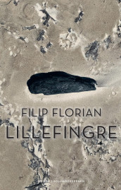 Lillefingre av Filip Florian (Innbundet)