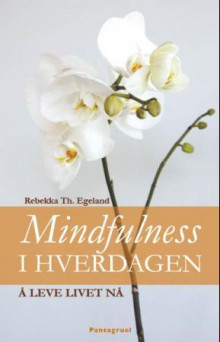 Mindfulness i hverdagen av Rebekka Th. Egeland (Ebok)