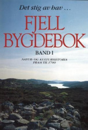 Fjell bygdebok av Gunnstein Akselberg, Helge Askvik, Frode Fyllingsnes, Øystein Geber og Knut Krzywinski (Innbundet)