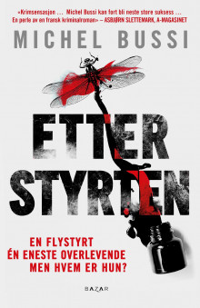 Etter styrten av Michel Bussi (Ebok)