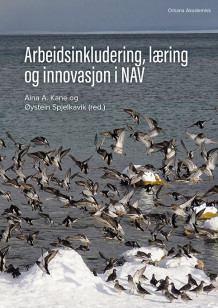 Arbeidsinkludering, læring og innovasjon i NAV av Aina A. Kane og Øystein Spjelkavik (Heftet)