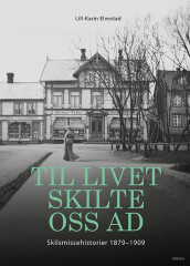 Til livet skilte oss ad av Lill-Karin Elvestad (Innbundet)