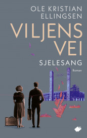 Sjelesang av Ole Kristian Ellingsen (Ebok)