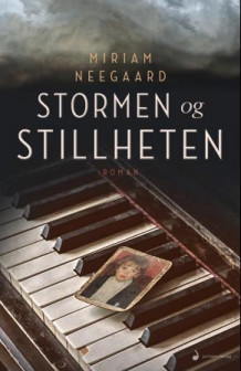 Stormen og stillheten av Miriam Neegaard (Ebok)