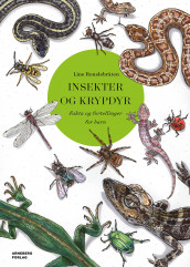 Insekter og krypdyr av Line Renslebråten (Innbundet)