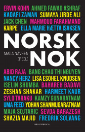 Norsk nok (Ebok)