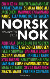 Norsk nok (Heftet)