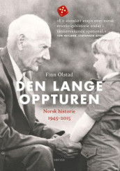 Den lange oppturen av Finn Olstad (Heftet)