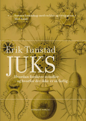 Juks av Erik Tunstad (Ebok)