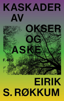 Kaskader av okser og aske av Eirik S. Røkkum (Ebok)