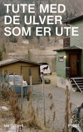 Tute med de ulver som er ute av Ida Gilbert (Innbundet)