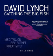 Catching the big fish av David Lynch (Nedlastbar lydbok)