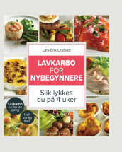 Lavkarbo for nybegynnere av Lars-Erik Litsfeldt (Ebok)