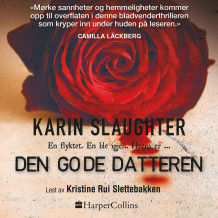 Den gode datteren av Karin Slaughter (Nedlastbar lydbok)