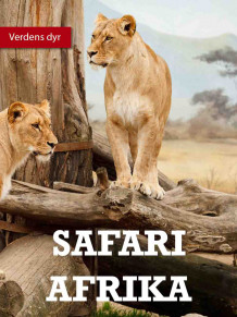 Safari av Lindsey Wilson (Ebok)