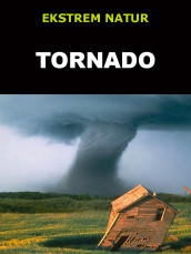 Tornado av Edward Alan Kurtz (Ebok)
