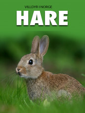 Hare av Marte Østmoe (Ebok)
