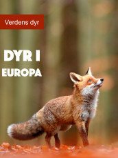 Dyr i Europa av Diana Morrison (Ebok)