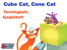 Terningkatt, kjeglekatt = Cube cat, cone cat av Praba Ram (Ebok)