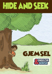 Gjemsel = Hide and seek av Kanchan Bannerje (Ebok)