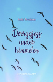 Dverggjess under himmelen av Audun Torsteinsen (Ebok)