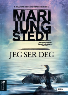 Jeg ser deg av Mari Jungstedt (Innbundet)