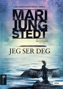 Jeg ser deg av Mari Jungstedt (Ebok)