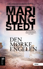 Den mørke engelen av Mari Jungstedt (Ebok)