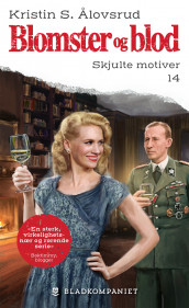 Skjulte motiver av Kristin S. Ålovsrud (Ebok)