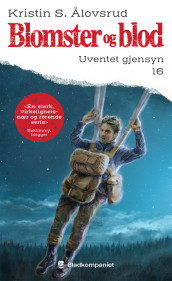 Uventet gjensyn av Kristin S. Ålovsrud (Ebok)