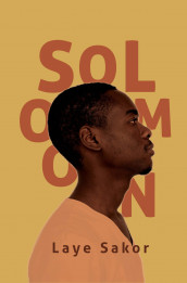 Solomon av Laye Sakor (Ebok)