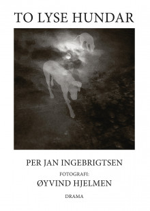 To lyse hundar av Per Jan Ingebrigtsen (Ebok)